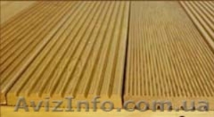 Сибирская лиственница #4515