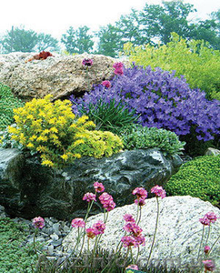 Студия ландшафтного дизайна