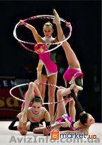 GIMNASTIC SCHOOL #8564