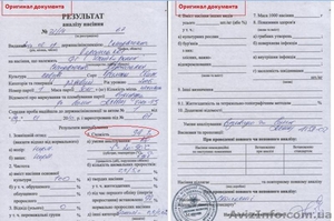 Семена арбуза Кримсон Свит (CRIMSON SWEET) #8361