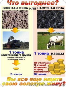  калифорнийский червь, червь старатель, червь для рыбалки, дикий червь, биогумус,  #9550