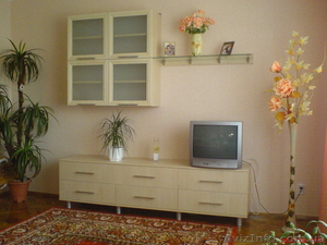 Корпусная мебель 