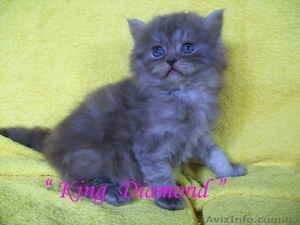 Шикарные плюшки! НЕметящая линия! #11078