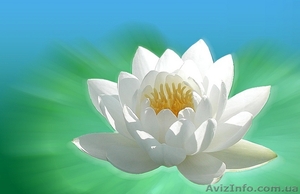 Семінар оздоровчої системи Чжун Юань цигун   #10266