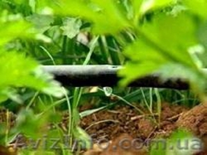 Капельный полив и системы орошения #15843