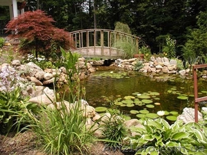 ОЗЕЛЕНЕНИЕ И ЛАНДШАФТНЫЙ ДИЗАЙН #11399