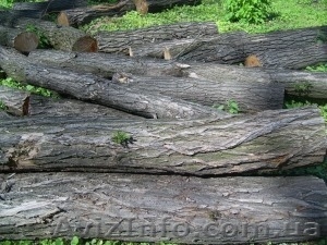 пиломатериалы из сосны и дуба #12064