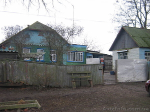 Продам дом, Черниг.обл.Прилуцкий р-он, с.Рудивка #13967