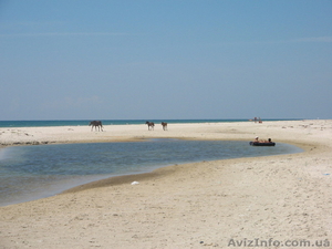 Скадовск Отдых вУкраине , детский курорт #14615