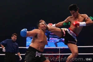 Тайский бокс,  Кунг фу,  Йога #13926