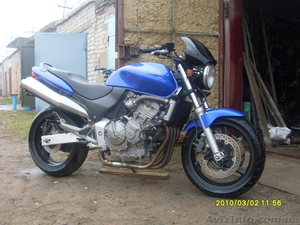 honda hornet600 #11654