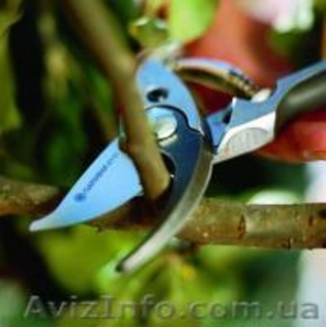 Обрезка плодовых  деревьев,  винограда. #12542