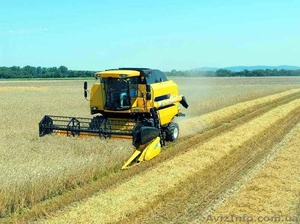 продам комбайн New Holland TC 5080 #13570