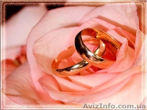 Профессиональная видео съемка Вашей свадьбы и других праздников #21282