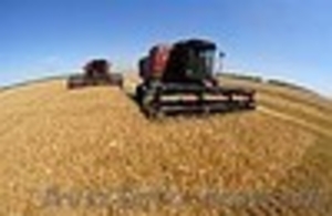 Агрохимия-пестициды-гербициды. #18901