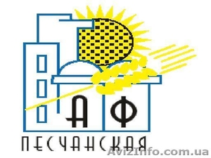 СЕМЕНА (097) 528-04-46 от производителя! #19574