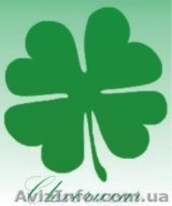 Сайт об Ирландии и аранском вязании. Интернет-магазин. #21636