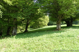 Продажа участка вОвидиопольском районе #20341