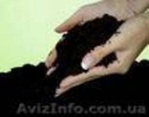 Продажа Чернозёма,  Песка,  Щебня. #22940