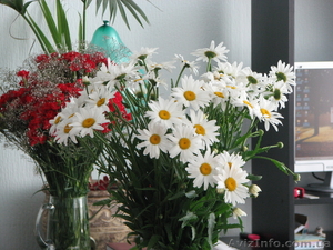 Семинар-тренинг для родителей. #26414