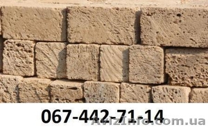 Ракушняк из Крыма     #23793