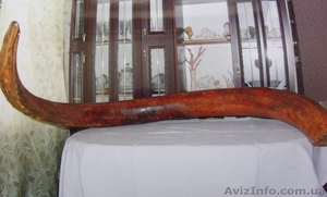 Бивень мамонта взрослога #24263