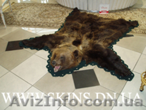 Ковры из шкур медведя волка рыси тигра и др животных #22191