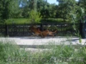 Предлагаю для вязки #25246