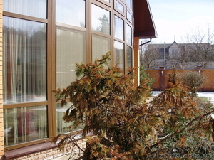 Элитный дом продам #19066