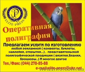 Предлагаем полиграфические услуги #20268