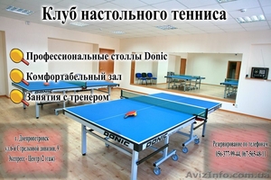 НАСТОЛЬНЫЙ ТЕННИС #21060