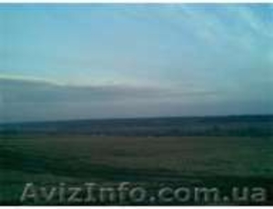 Участок 2, 70га.ОСГ #26336