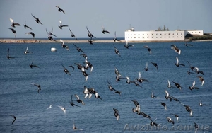 Отдых в Севастополе #27448