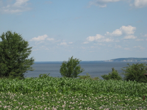 Участок в красивейшем месте #33516