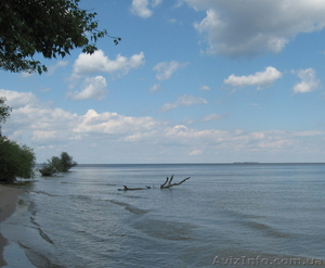 Участок для отдыха всей семьей! #33541