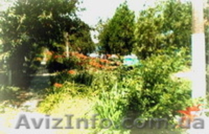 Отдых на Чёрном море посёлок Большевик #35034