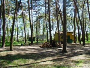База отдыха Сумской р-н #28588