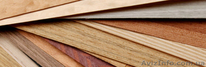 Шпон натуральный - шпон строганный - Купить шпон в Украине с доставкой #33864