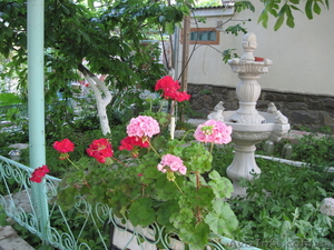 Семейный отдых в Судаке #35840