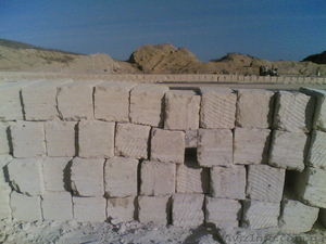 Камень - ракушечник #32994