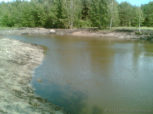 Работы по очистке водоемов,  очистка озер и рек каналов #32901