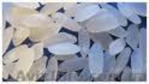 Продам рис крымский самые низкие цены по Крыму 0663286885 #36182