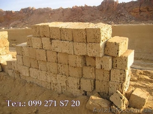 Ракушечник Крымский от производителя #36668