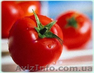 Продам лук,   помидор #33153