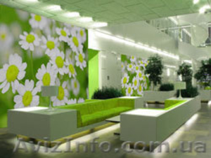 Фотообои. Оформление интерьеров ресторанов,  ночных клубов,  кафе. Киев.  #28172