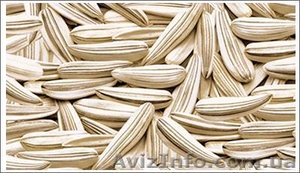 семечка жареная фасованна #34389