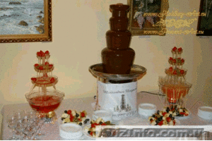 Шоколадные и винные фонтаны сдаем в аренду. Фруктовая пальма #33049