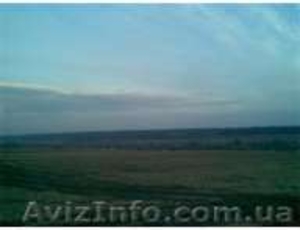 Участ.2, 70га.ОСГ.асфальтированный под.газ.свет.телефон.20000у.е.-участок. #28659