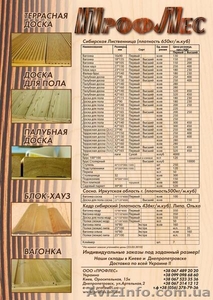 Сибирская лиственница,  кедр,  сосна #37889