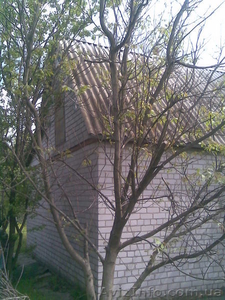 Дача недорого (своя) #43739